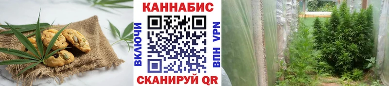 Купить где Электроугли Cannafood марихуана